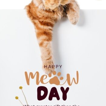 Happy Meow Day