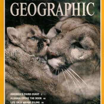 National Geographic Magazine July 1992 - Mountain Lions