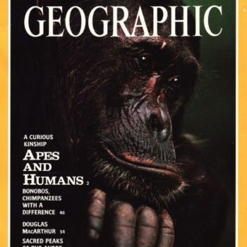 National Geographic Magazine March 1992 - Apes and Human