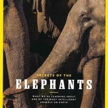 National Geographic Magazine May 2023 - Secrets of The Elephants