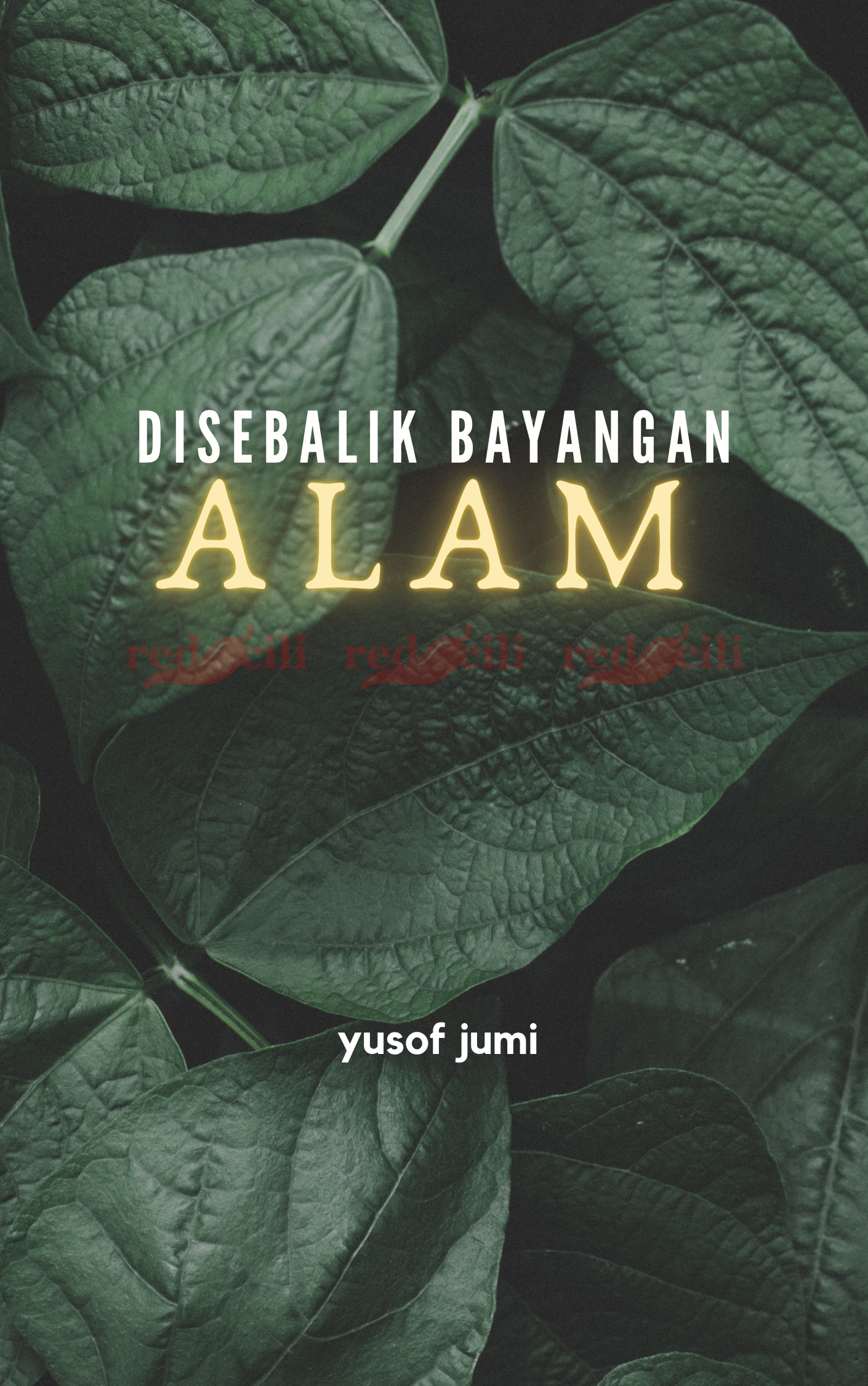 Disebalik Bayangan Alam - Kulit eBuku