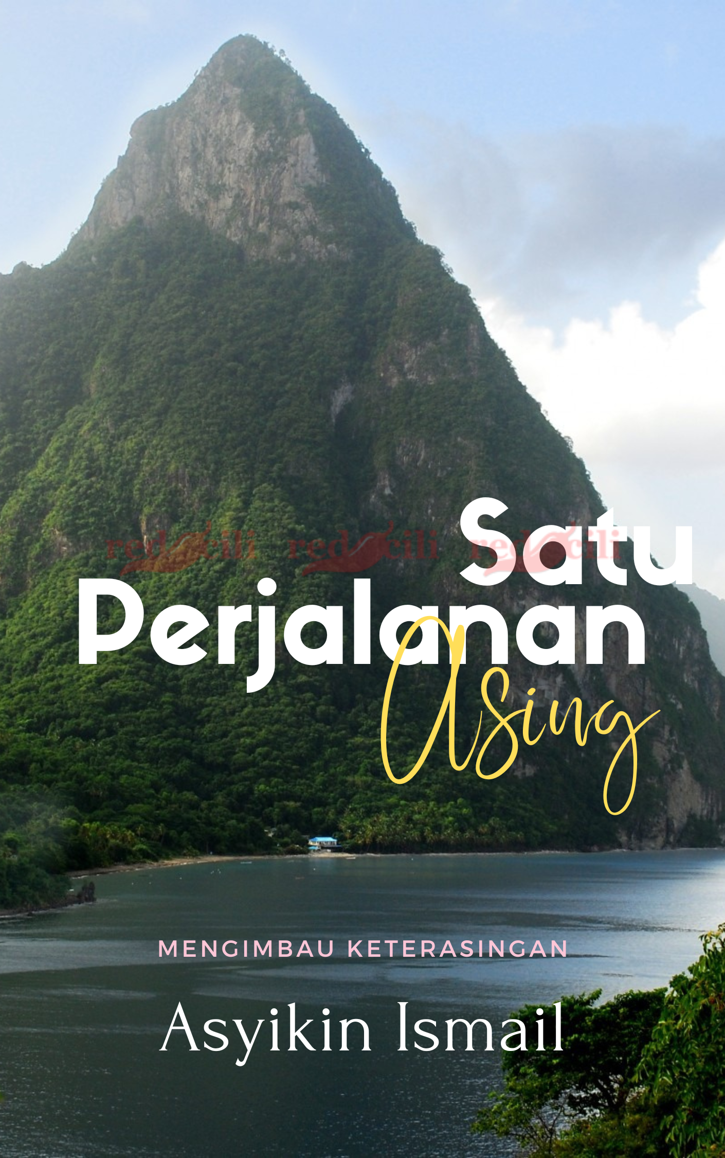 Satu Perjalanan Asing - Kulit eBuku