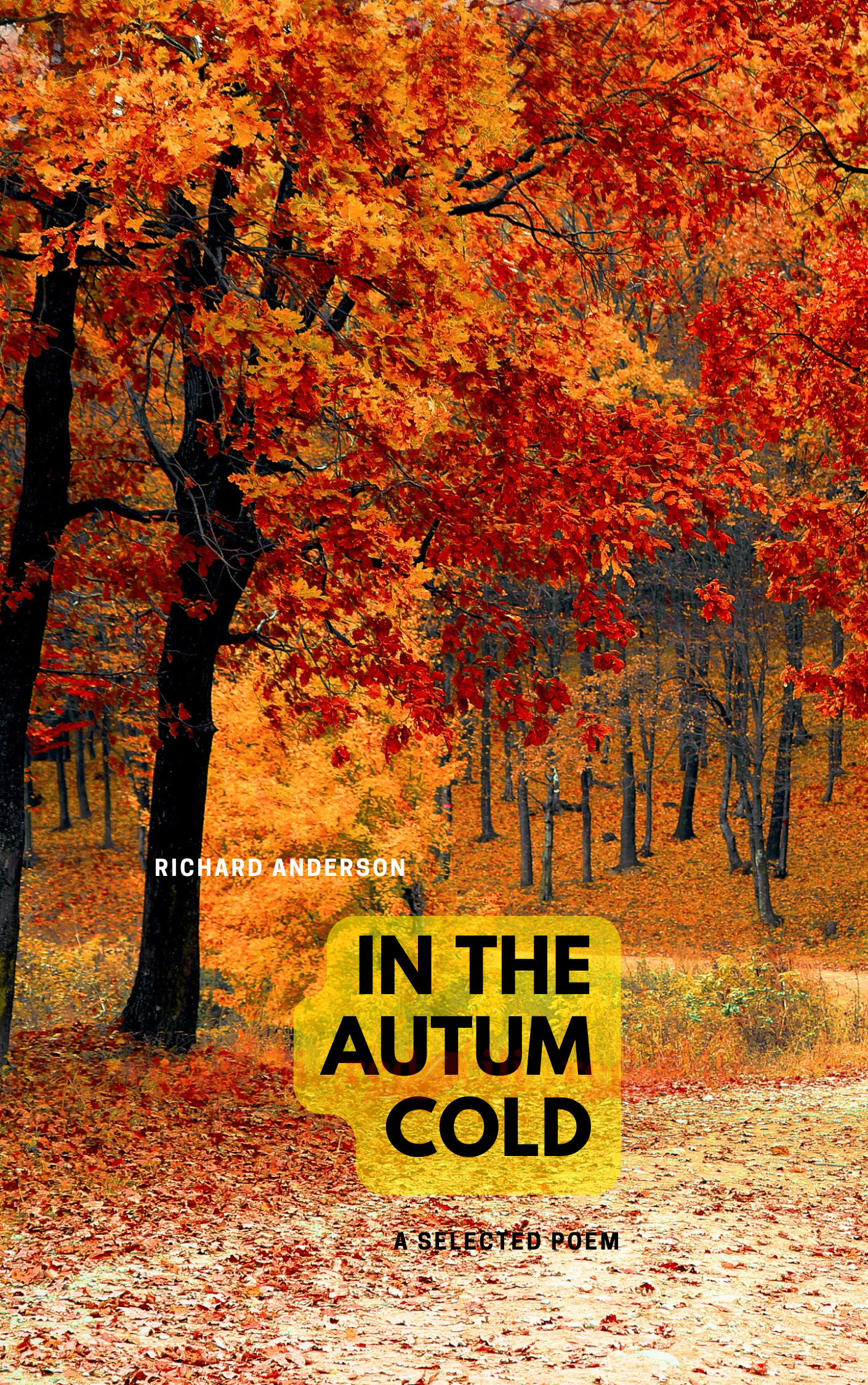 In The Autum Cold - Kulit eBuku