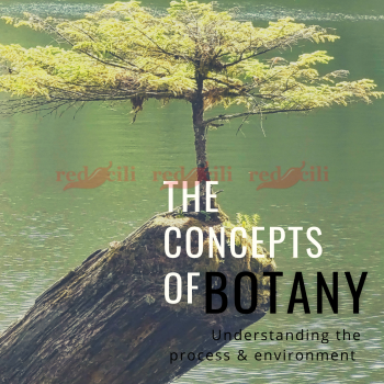 The Concepts of Botany - Kulit eBuku