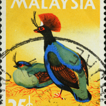 Setem Burung Siul Poster