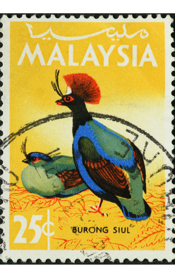 Setem Burung Siul Poster