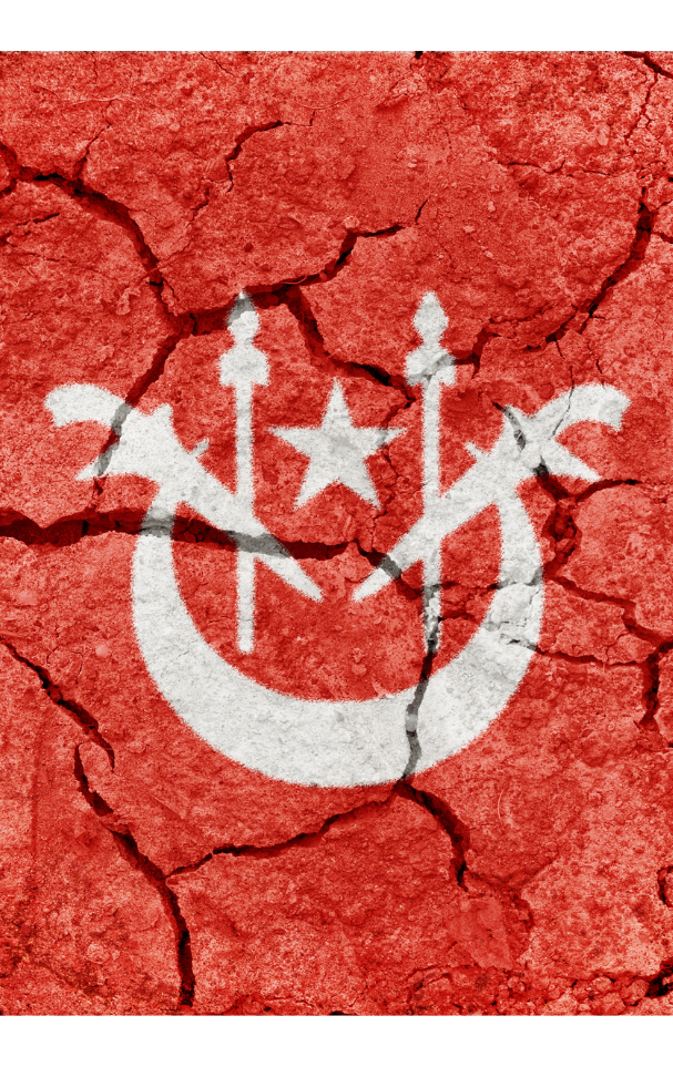 Jata Kelantan Poster