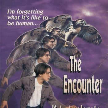 The Encounter
