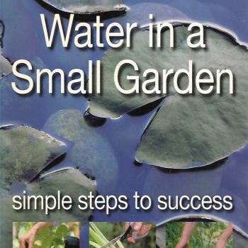 Water in a Small Garden