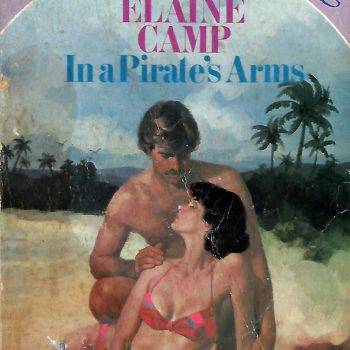 In a Pirate's Arms