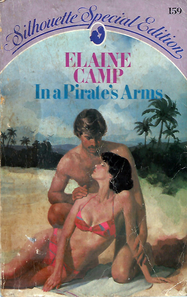 In a Pirate's Arms